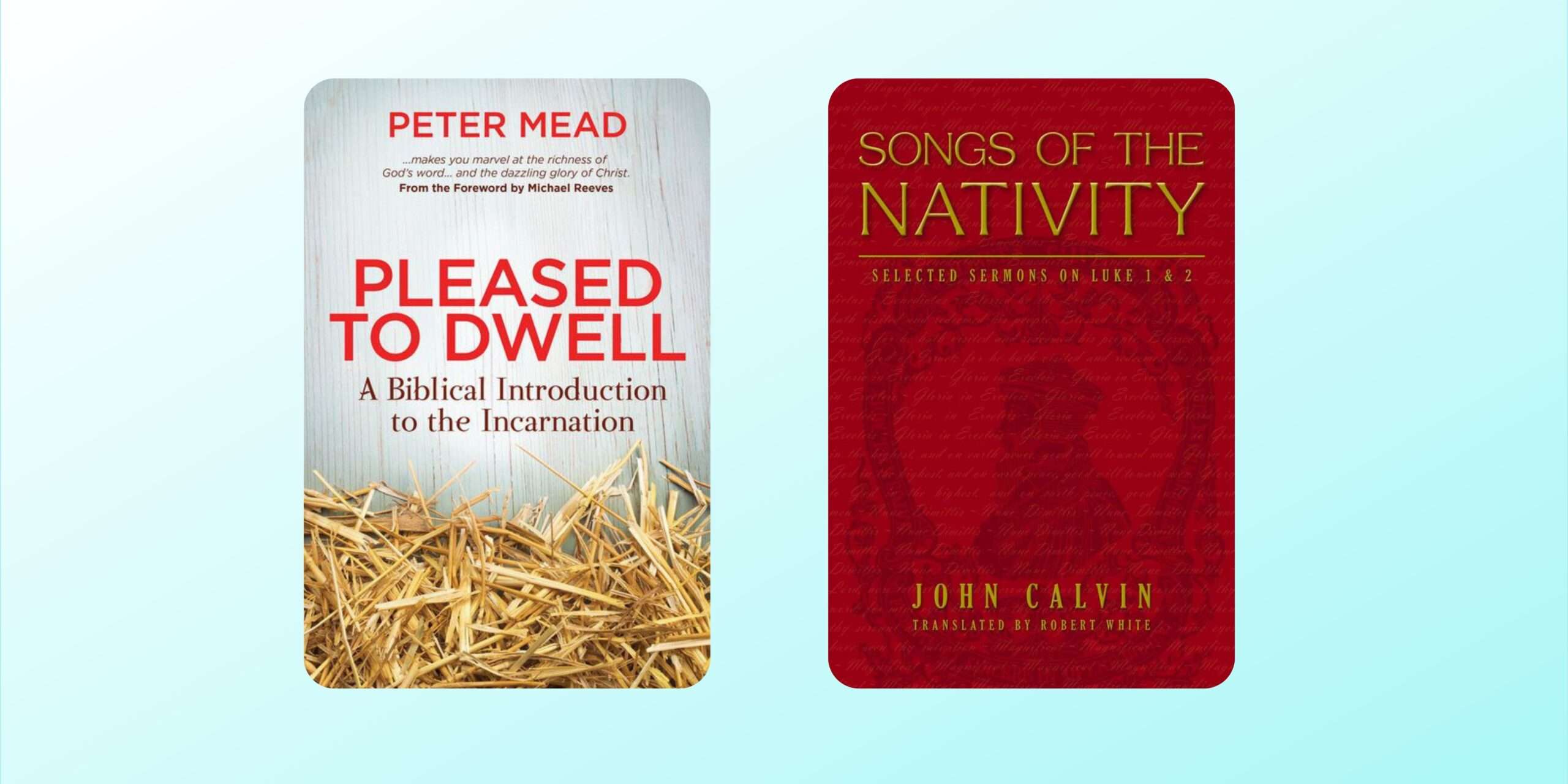 Share the Joy:Top Christmas Book Gifts for All Ages 1 REFORMED BOOKS